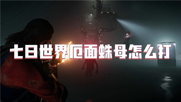 七日世界厄面蛛母怎么打