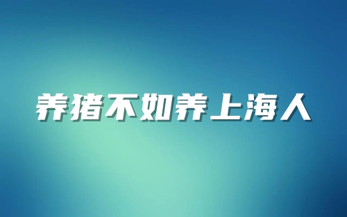 养猪不如养上海人代表什么