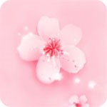 星空文化传媒在线观看下载