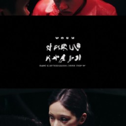 含羞草传媒旧版每天免费3次的多角度解析：吸引力与挑战并存