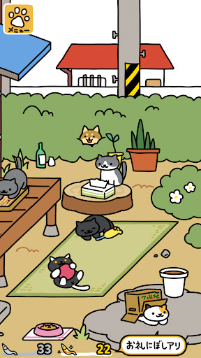 猫咪收集21