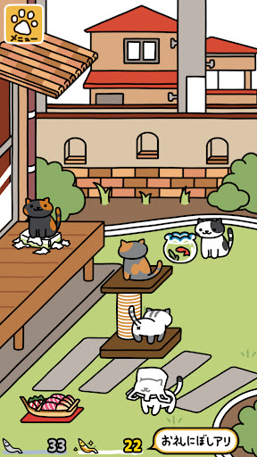 猫咪收集23